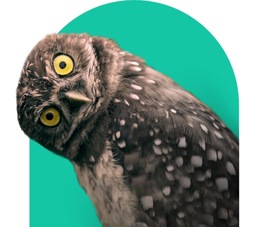 Always_be_curious_Image